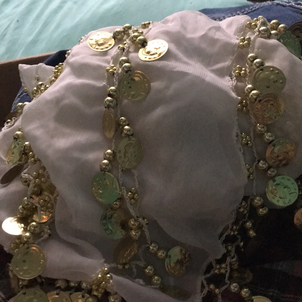 Belly dancer skirt